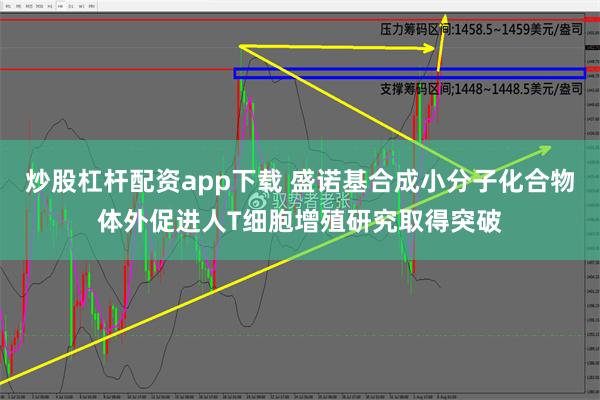 炒股杠杆配资app下载 盛诺基合成小分子化合物体外促进人T细胞增殖研究取得突破