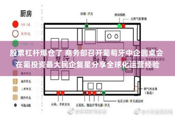 股票杠杆爆仓了 商务部召开葡萄牙中企圆桌会 在葡投资最大民企复星分享全球化运营经验