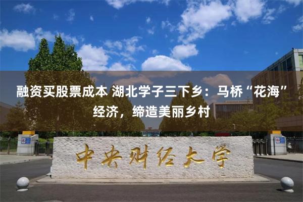 融资买股票成本 湖北学子三下乡：马桥“花海”经济，缔造美丽乡村