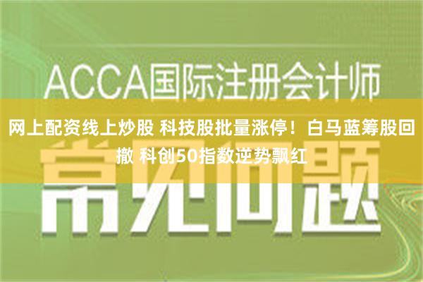 网上配资线上炒股 科技股批量涨停！白马蓝筹股回撤 科创50指数逆势飘红