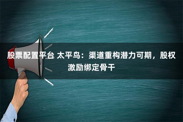 股票配置平台 太平鸟：渠道重构潜力可期，股权激励绑定骨干