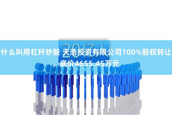 什么叫用杠杆炒股 天浩投资有限公司100%股权转让，底价4655.45万元