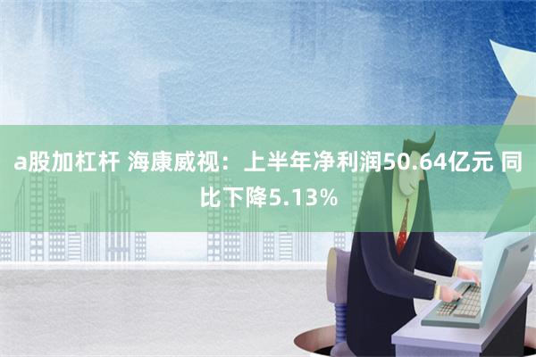 a股加杠杆 海康威视：上半年净利润50.64亿元 同比下降5.13%