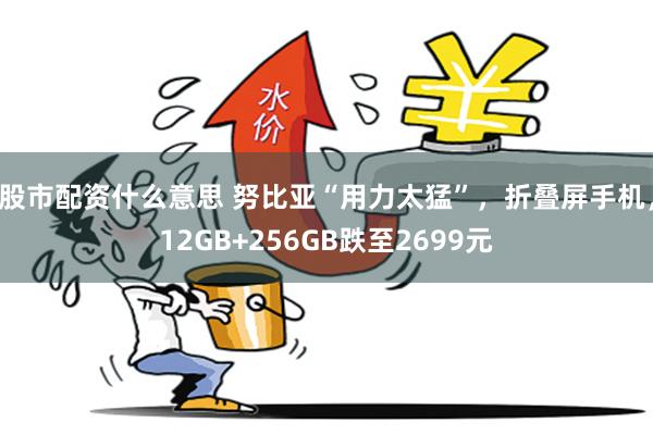 股市配资什么意思 努比亚“用力太猛”，折叠屏手机，12GB+256GB跌至2699元