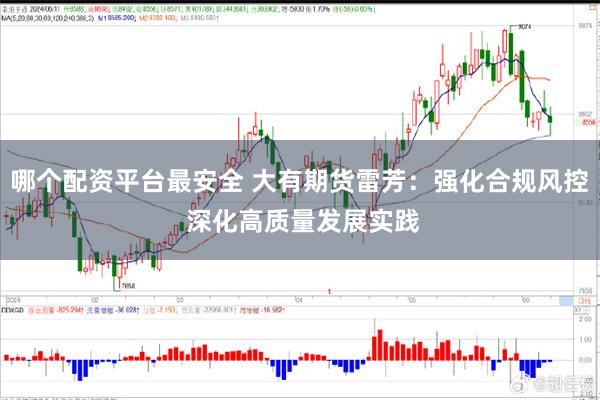 哪个配资平台最安全 大有期货雷芳：强化合规风控 深化高质量发展实践