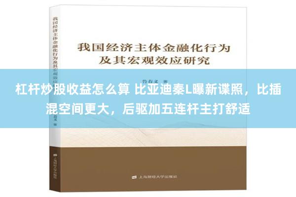 杠杆炒股收益怎么算 比亚迪秦L曝新谍照，比插混空间更大，后驱加五连杆主打舒适