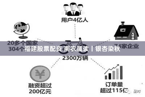 福建股票配资 南农晨读丨银杏染秋