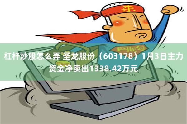 杠杆炒股怎么弄 圣龙股份（603178）1月3日主力资金净卖出1338.42万元