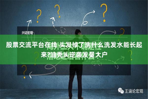 股票交流平台在线 头发掉了洗什么洗发水能长起来?油秃头逆袭发量大户