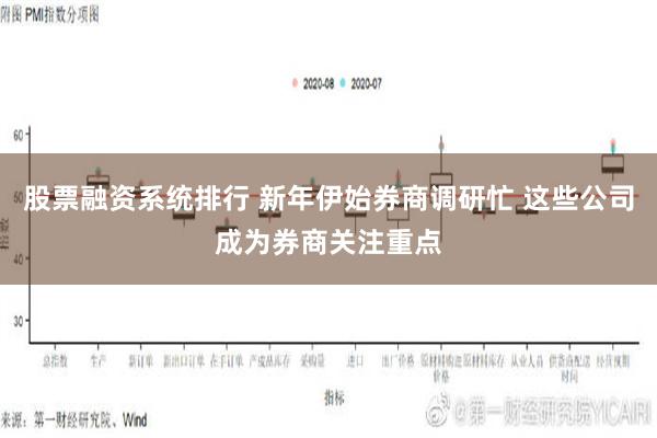 股票融资系统排行 新年伊始券商调研忙 这些公司成为券商关注重点